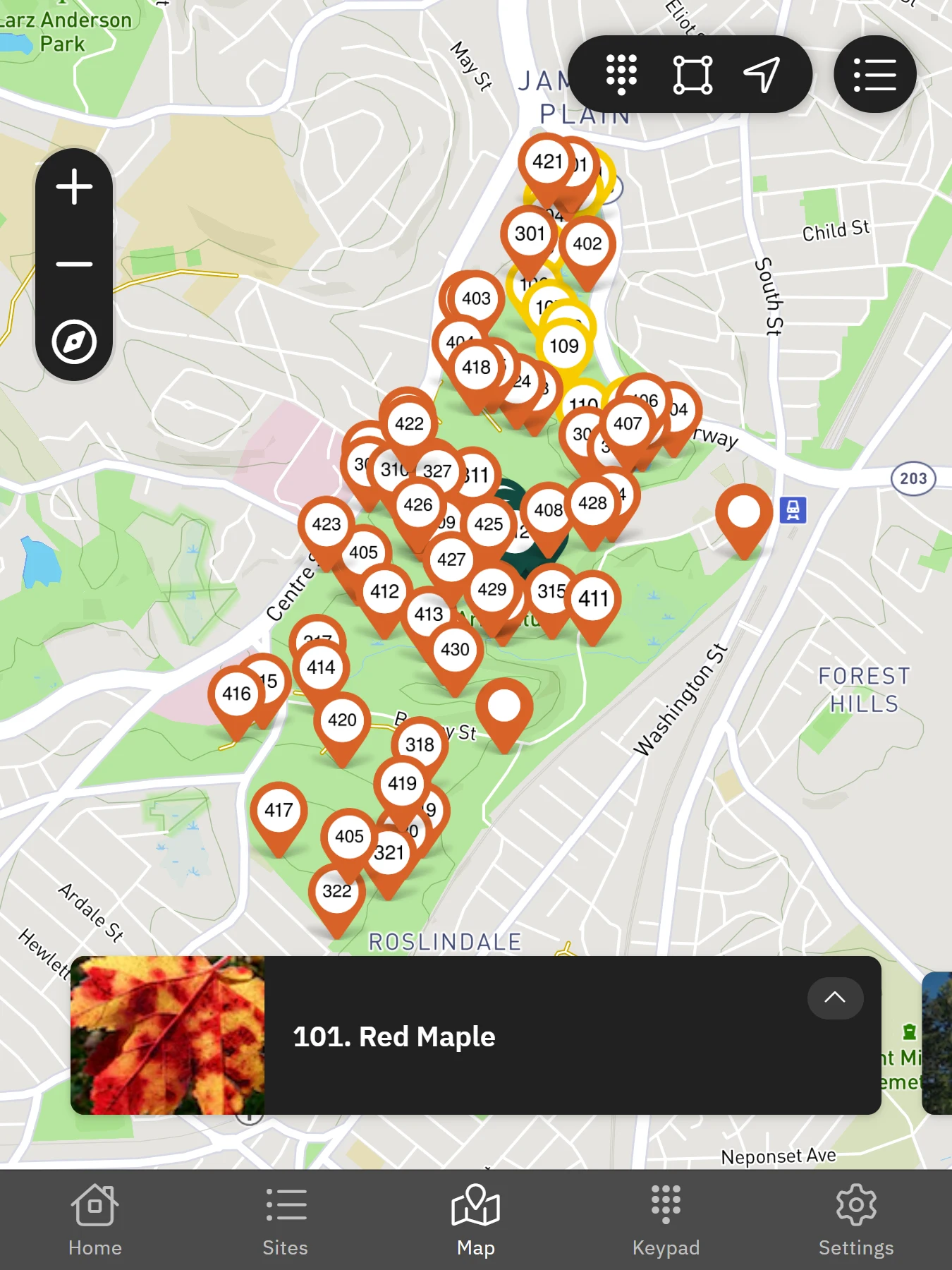 Expeditions: Arnold Arboretum screenshot