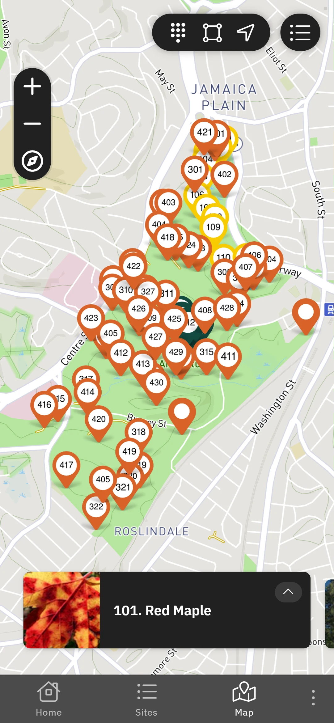 Expeditions: Arnold Arboretum screenshot