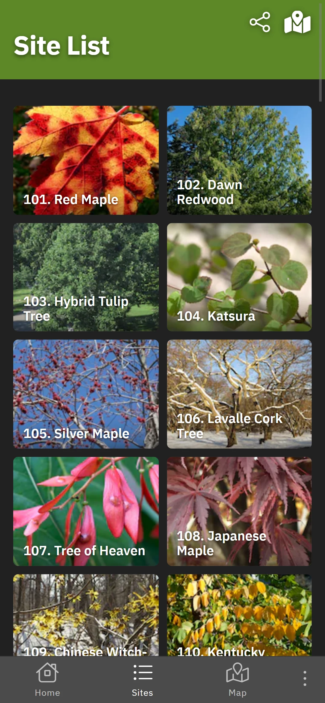 Expeditions: Arnold Arboretum screenshot